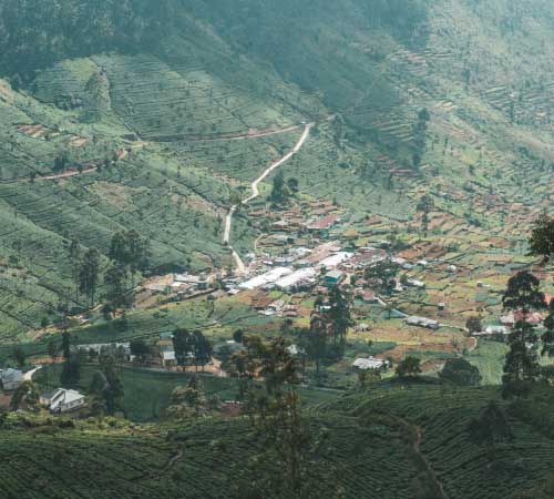 Kalimpong Himalayan Harmony – 7 Days of Nature & Culture