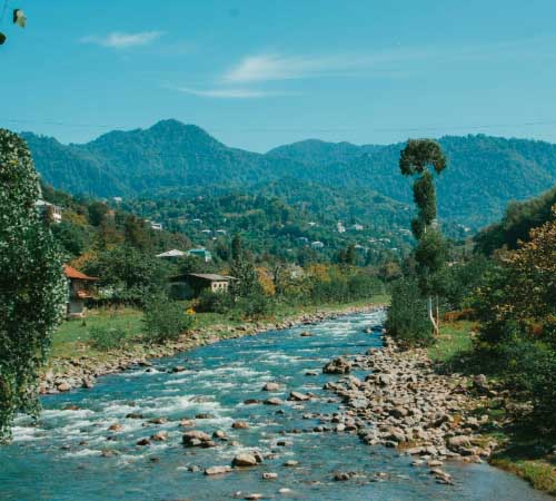 Kalimpong Soul Soother – 4 Days of Serenity & Culture